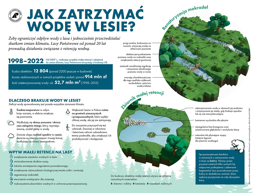 Infografika "Jak zatrzymać wodę w lesie?"