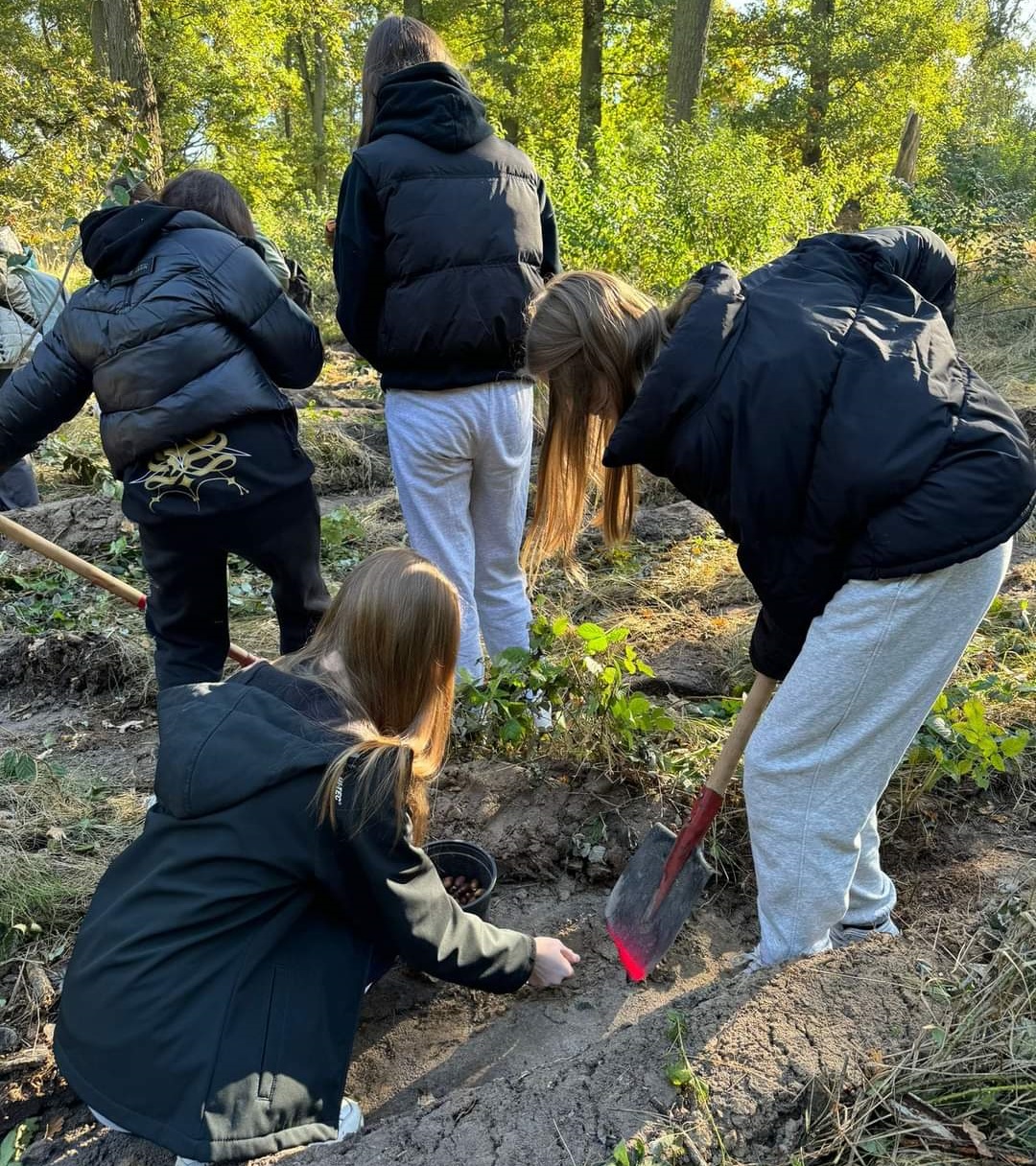 Zdjęcie przedstawia uczennice siejące żołędzie w lesie