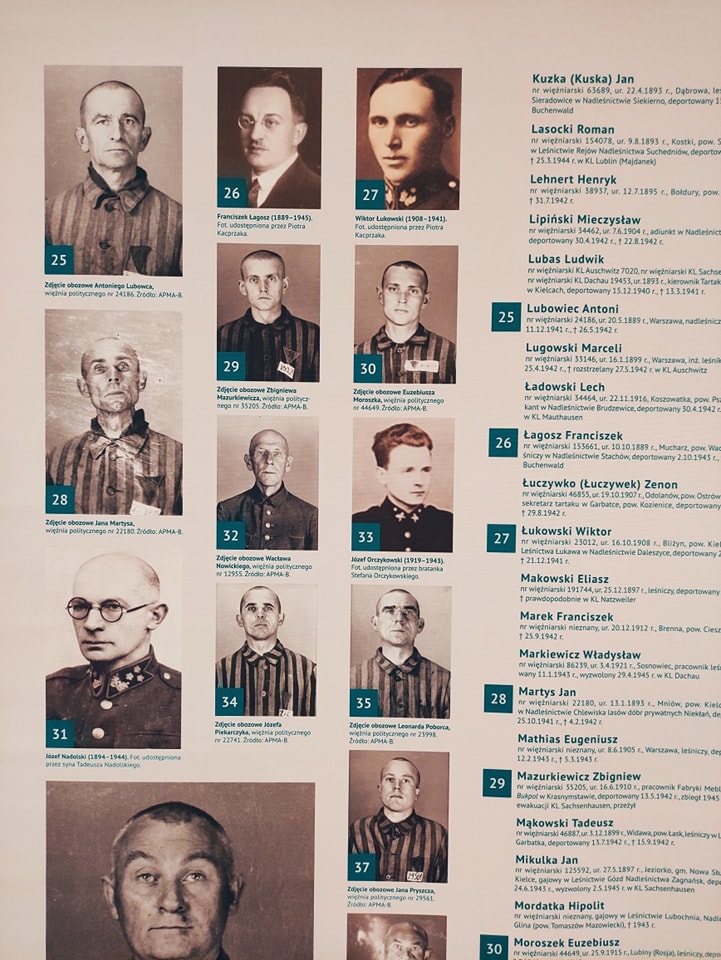 Zdjęcie przedstawia planszę prezentującą zdjęcia leśników i notki biograficzne leśników deportowanych do KL Auschwitz. Fot. A. Bończyk (RDLP w Poznaniu). 