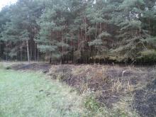 Pożar lasu w Leśnictwie Żegrowo