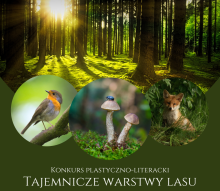 Konkurs "Tajemnicze warstwy lasu"