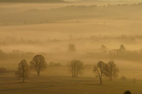 Przetarg na dzierżawę gruntów rolnych