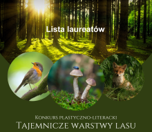 Konkurs "Tajemnicze warstwy lasu" rozstrzygnięty