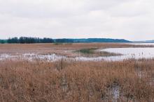 Natura 2000 w Nadleśnictwie Kościan