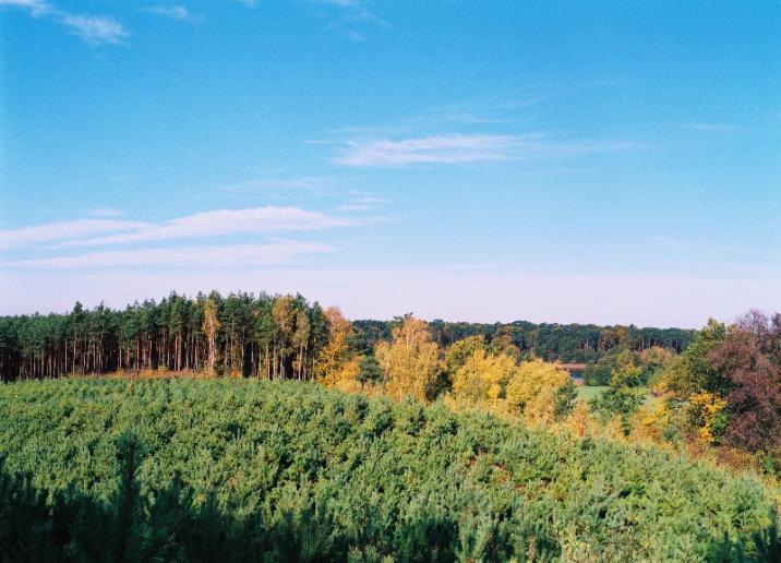 Obszar&#x20;Chronionego&#x20;Krajobrazu&#x3a;&#x20;Przemęcko-Wschowski&#x20;i&#x20;kompleks&#x20;leśny&#x20;Włoszakowice&#x20;fot&#x2e;&#x20;Krzysztof&#x20;Moroz